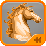 Horse Sounds - Neighing icon