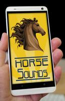 Horse Sounds - Neighing poster