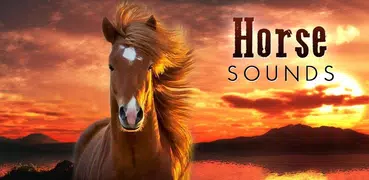 Sonido de un caballo