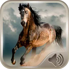 Descargar APK de Sonido de un caballo