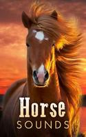 Horse Sounds پوسٹر