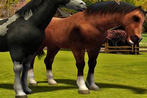 Horse Simulator Game 3D 2016 Affiche