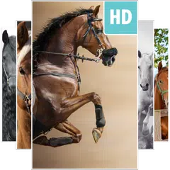 Horses Wallpapers APK download