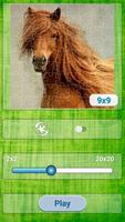 برنامه‌نما Jigsaw Puzzles Horses عکس از صفحه