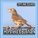 Horsfield Bushlark Sounds APK