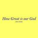 How Great is our God Lyrics APK