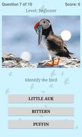 British Birds ID Quiz Pro capture d'écran 3