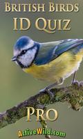 British Birds ID Quiz Pro Affiche