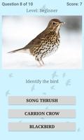 British Birds ID Quiz Pro capture d'écran 2