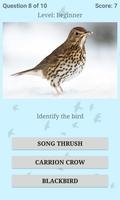 British Birds ID Quiz Pro Ekran Görüntüsü 2
