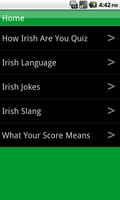 How Irish Are You? captura de pantalla 1