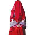 Modern Hijab Teaches