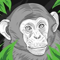 How To Draw Monkeys Affiche