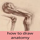 how to draw anatomy アイコン