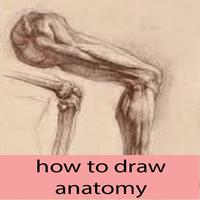 how to draw anatomy Affiche