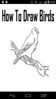 پوستر How to Draw Birds