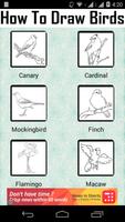 برنامه‌نما How to Draw Birds عکس از صفحه