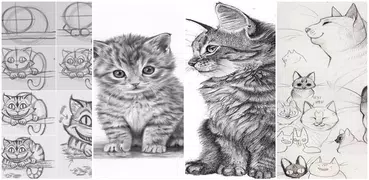 猫を描く方法