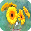 How to Draw Flowers