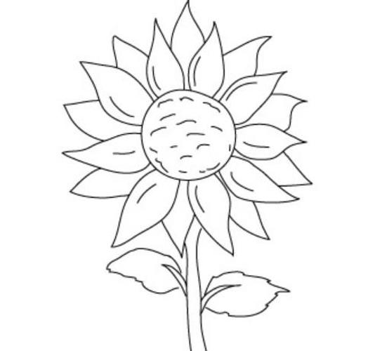 How To Draw Flower Step By Step For Android Apk Download