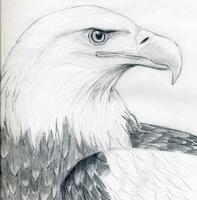 How to Draw Realistic Affiche