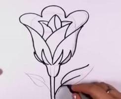 How to Draw Rose Step by Step স্ক্রিনশট 1