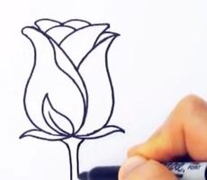 برنامه‌نما How to Draw Rose Step by Step عکس از صفحه