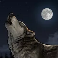 How To Draw Wolves poster