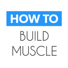 How to Build Muscle‏‎ Fast icône