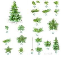 How to Make Christmas tree 스크린샷 3
