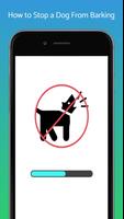 How To Stop A Dog From Barking poster