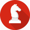 Playing Chess Guide For Beginners