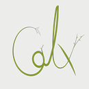 Calx APK