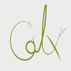 Calx icon