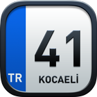 41 Kocaeli-icoon