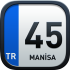 45 Manisa icône