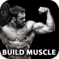Build Muscle