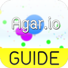 Guide For Agar.io icône