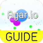 Guide For Agar.io 图标