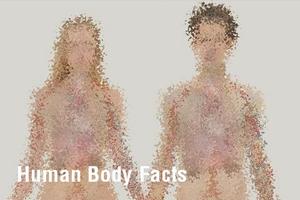 Human Body Facts اسکرین شاٹ 1