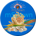 mSpawn-Indian Mushroom Spawn Suppliers-Spawn Units