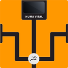 Icona Numa Vital 4.0