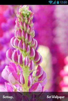 Download 3d Flowers Touch Wallpaper Apk For Android Latest Version