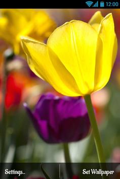 Download 3d Flowers Touch Wallpaper Apk For Android Latest Version