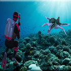 آیکون‌ Dinosaur Hunter Underwater