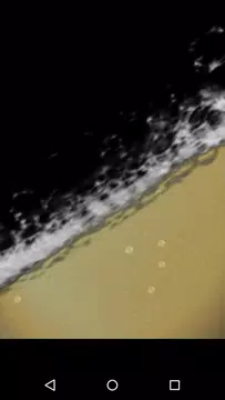 Screenshot 3 for iChampagne - Drink Champagne