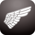 Michael Bastian Chronowing