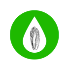 Hydroponics for Leaf vegetable icône