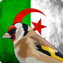 Oiseaux Algerie APK