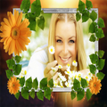 Photo Frame - Photo Collage - Frame